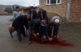 ذبح ۹ راس گوسفند در قالب پویش مردمی کمک مومنانه